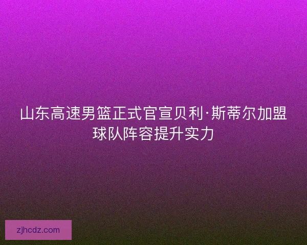 山东高速男篮正式官宣贝利·斯蒂尔加盟球队阵容提升实力