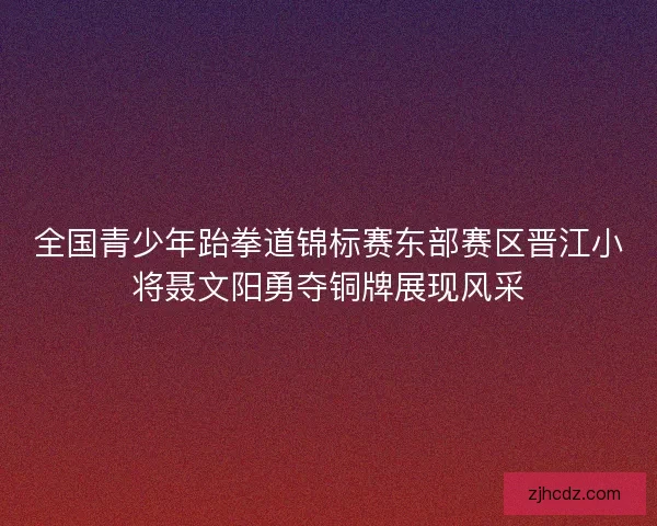 全国青少年跆拳道锦标赛东部赛区晋江小将聂文阳勇夺铜牌展现风采